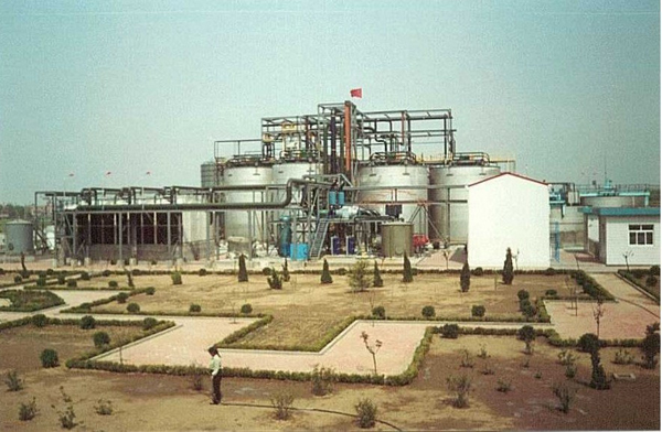 bioleach Gold plant china 2001